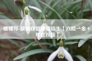 猿辅导-猿编程管理培训生【六险一金＋年底双薪】