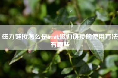 磁力链接怎么是html,磁力链接的使用方法有哪些