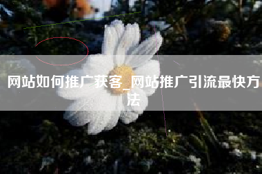 网站如何推广获客_网站推广引流最快方法