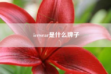 icewear是什么牌子