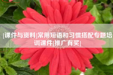 [课件与资料]常用短语和习惯搭配专题培训课件[推广有奖]
