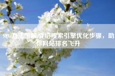 SEO方法图解,介绍搜索引擎优化步骤，助你网站排名飞升