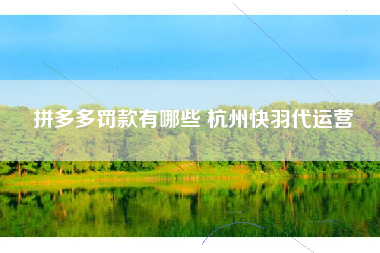 拼多多罚款有哪些 杭州快羽代运营