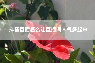 抖音直播怎么让直播间人气多起来