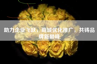助力企业飞跃，商城优化推广，共铸品牌新巅峰