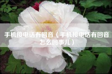 手机接电话有回音（手机接电话有回音怎么回事儿）