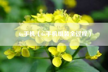 6x手机（6x手机组装全过程）