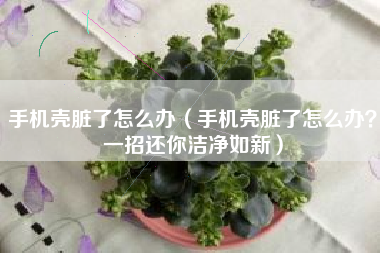 手机壳脏了怎么办（手机壳脏了怎么办？一招还你洁净如新）