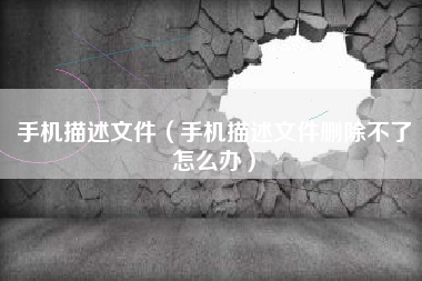 手机描述文件（手机描述文件删除不了怎么办）