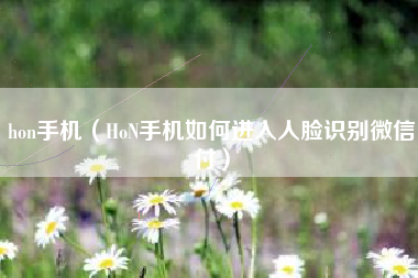 hon手机（HoN手机如何进入人脸识别微信付）