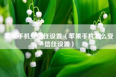 苹果手机受信任设置（苹果手机怎么受信任设置）