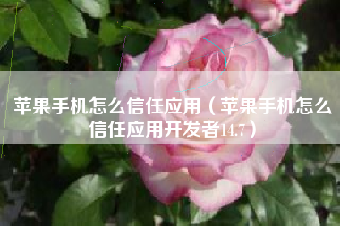 苹果手机怎么信任应用（苹果手机怎么信任应用开发者14.7）