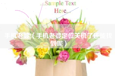 手机老婆（手机老婆定位关机了还能找到呢）