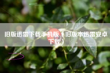 旧版迅雷下载手机版（旧版本迅雷安卓下载）