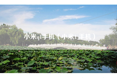 小米q1手机（小米1 手机）