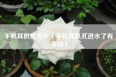 手机耳机孔进水（手机耳机孔进水了有事吗）
