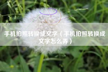 手机拍照转换成文字（手机拍照转换成文字怎么弄）