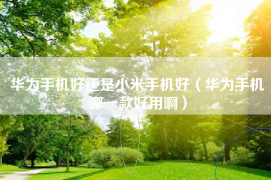 华为手机好还是小米手机好（华为手机哪一款好用啊）