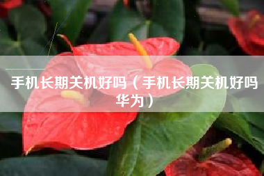 手机长期关机好吗（手机长期关机好吗华为）