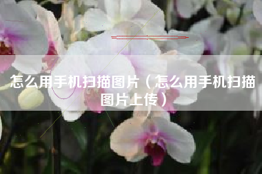 怎么用手机扫描图片（怎么用手机扫描图片上传）