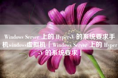 Windows Server 上的 Hyper-V 的系统要求手机windows虚拟机「Windows Server 上的 Hyper-V 的系统要求」