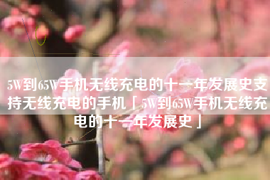 5W到65W手机无线充电的十一年发展史支持无线充电的手机「5W到65W手机无线充电的十一年发展史」