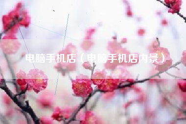 电脑手机店（电脑手机店内景）