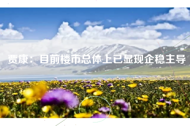 贾康：目前楼市总体上已显现企稳主导