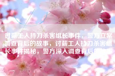 讨薪工人持刀杀害组长事件，警方立案调查背后的故事，讨薪工人持刀杀害组长事件揭秘，警方深入调查背后的故事
