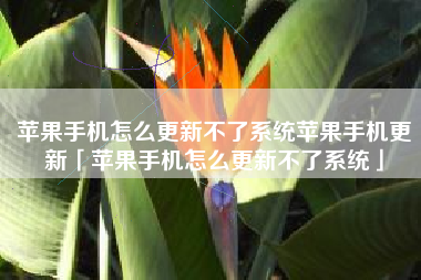 苹果手机怎么更新不了系统苹果手机更新「苹果手机怎么更新不了系统」